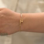 بنگل میخ کارتیه - مدل