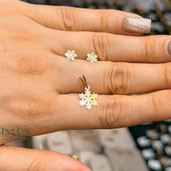 نیمست برف - نمای روی دست