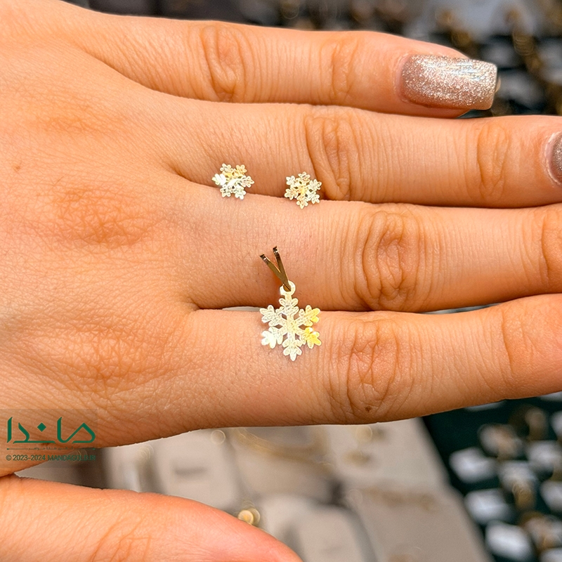 نیمست برف - نمای روی دست نیمست برف - نمای روی دست