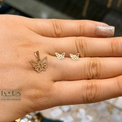 نیمست پروانه - نمای روی دست